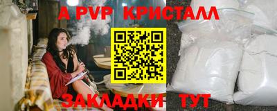 шишки Бийск