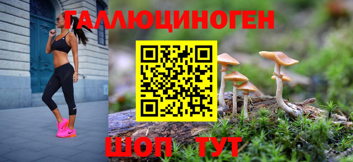 Галлюциногенные грибы Cubensis  Вход с VPN  Богородицк  Псилоцибиновые грибы Magic Shrooms 